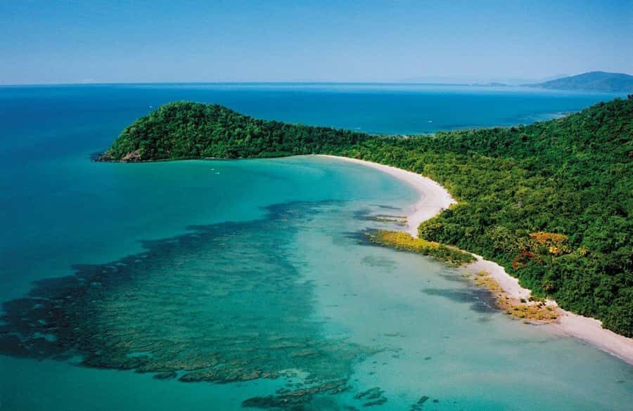 Port Douglas: Daintree Rainforest and Mossman Gorge Tour - Cape Tribulation and Noah Valley