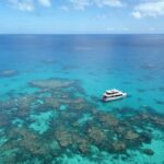 Port Douglas: Outer Great Barrier Reef Snorkeling Cruise - What Sets This Tour Apart?