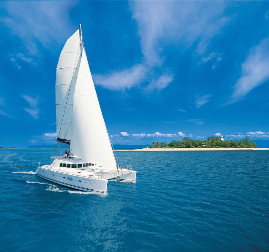 Port Douglas: Reef & Low Isles Cruise on Luxury Catamaran - Snorkel and Guided Tours: Meet the Marine Life