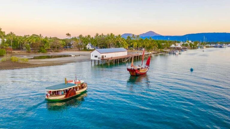 Port Douglas: River Cruise, Crocodile Spotting, Drink/ Snack - Comfort and Accessibility