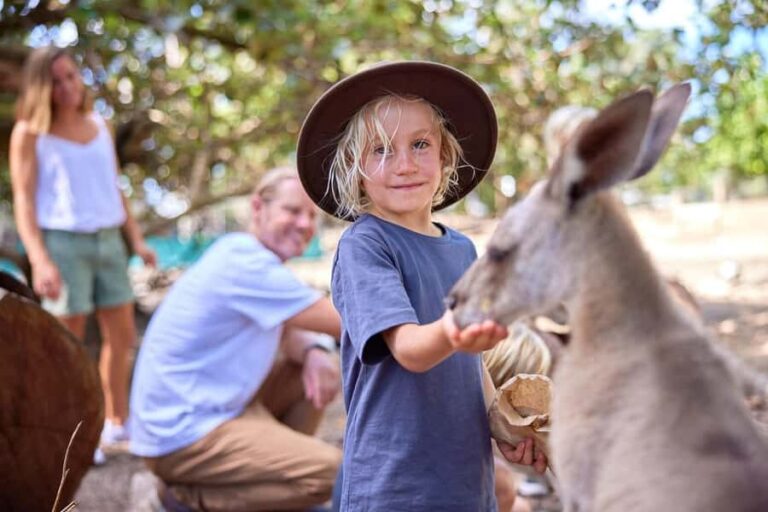 Port Douglas: Wildlife Habitat Entrance Ticket - The Experience: What to Expect