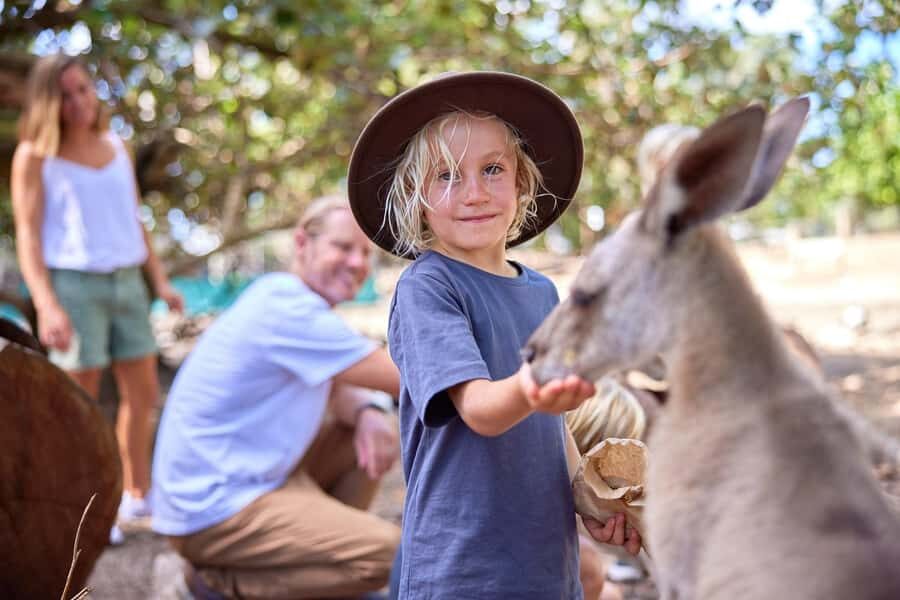 Port Douglas: Wildlife Habitat Entrance Ticket - The Experience: What to Expect