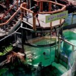 Port Douglas: Wildlife Habitat Swim with Crocodiles - The Itinerary in Detail