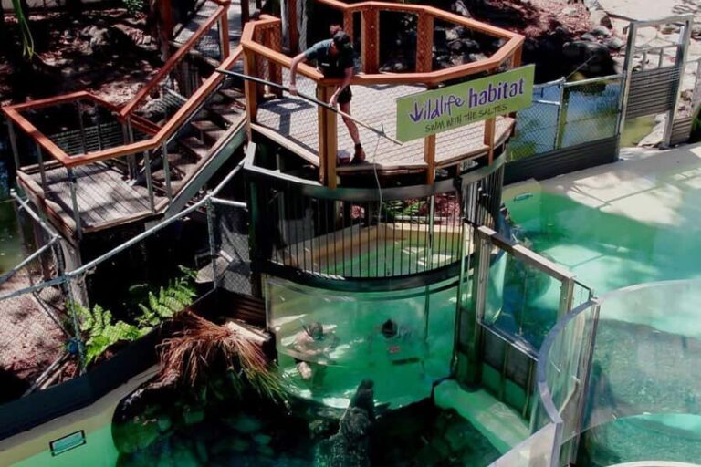 Port Douglas: Wildlife Habitat Swim with Crocodiles - The Itinerary in Detail