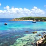 Port Stephens: Port Stephens Island Snorkel Adventure Cruise - The Itinerary and What You Can Expect