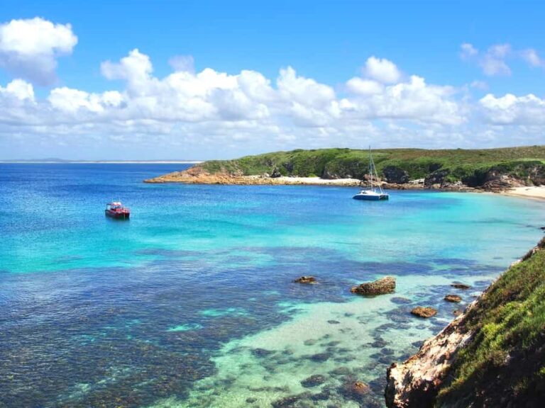 Port Stephens: Port Stephens Island Snorkel Adventure Cruise - The Itinerary and What You Can Expect