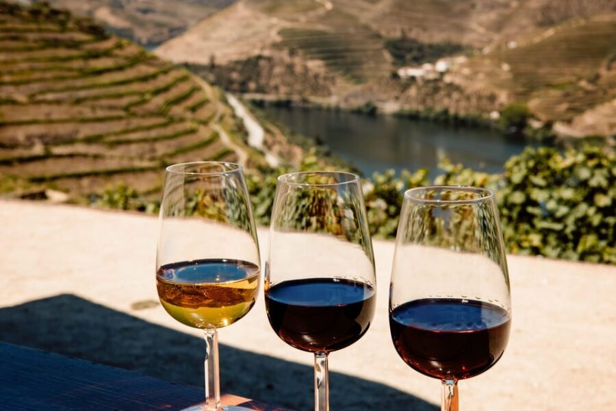Porto: Douro Valley & Amarante Wine, Food & River Tour - Meeting at Trindade Domus and getting moving smoothly