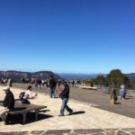 PRIVATE Blue Mountains tour & Koalas, Kangaroos, Cruise plus more - Final Thoughts: Who Is This Tour Best For?