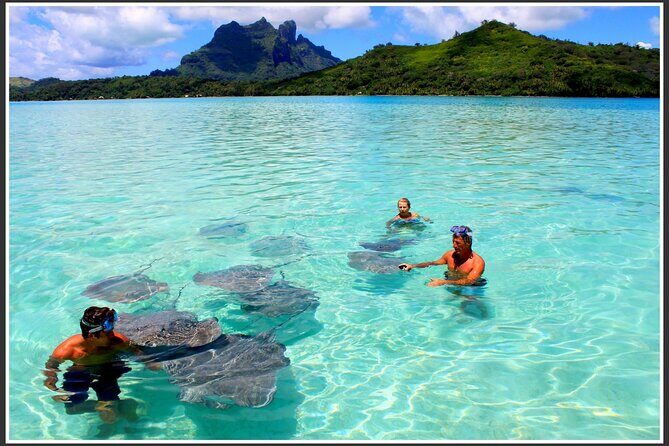 Private Bora Bora Lagoon & Water Lunch Experience - Who Should Consider This Tour?
