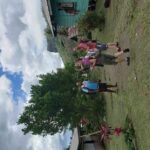 Private Breathtaking Koroyanitu Half Day Waterfall Hike - Who Should Consider This Tour?