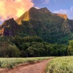 Private Day Trip Hike and Boat in Moorea - The Sum Up