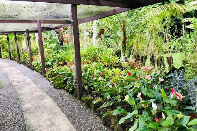 Private Denarau Shore Excursion - Temple, Shopping, Market, Garden & Mud Pool - Authentic Experiences and Honest Drawbacks