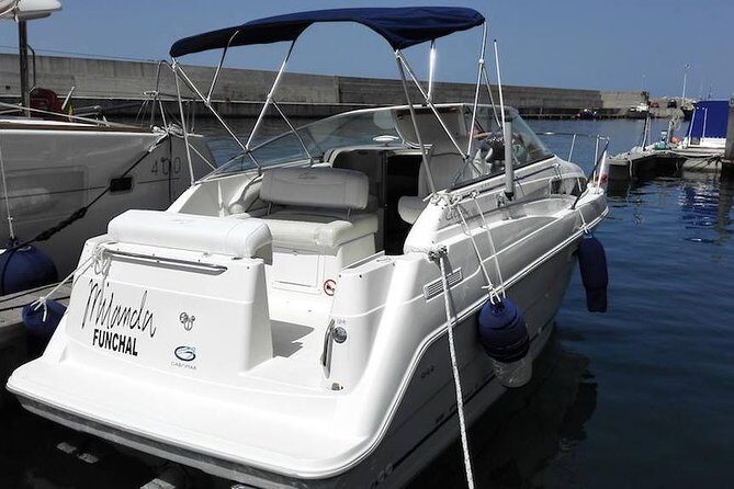 Private Dolphin and Whale Watching Tour in Madeira - Whats Included (And What Isnt)