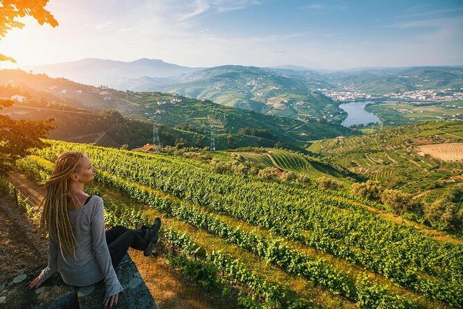 Private Douro Valley Wine Tour: 2 Wine Estates, Lunch and Cruise - The drive where your guide sets the tone