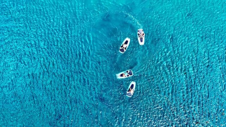 Private E-Board Tour of Moorea Lagoon - The Itinerary and What to Expect