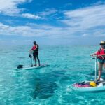 Private Excursion with E-Board in Moorea with snorkeling - FAQs
