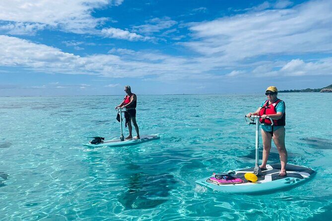 Private Excursion with E-Board in Moorea with snorkeling - FAQs