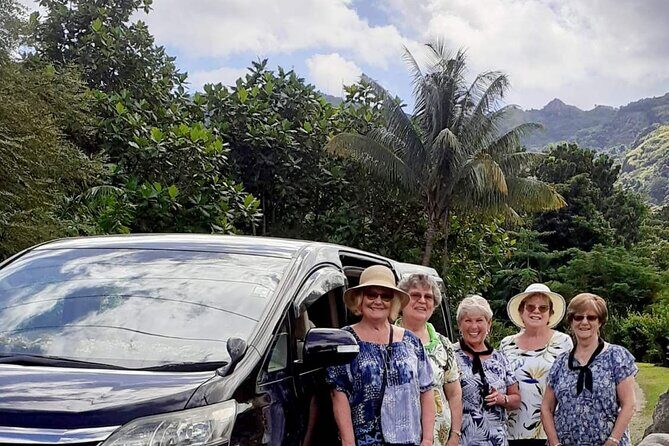Private Roundtrip Transfer - Nadi Airport to Fiji Marriott Momi Bay - What to Expect at Each Step