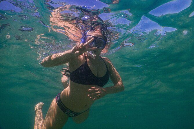 Private Snorkeling Tour In Sydney's Marine Reserve - The Photos and Memories