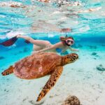 Private Turtle and Ray Tour Rarotonga - Who Should Consider This Tour?