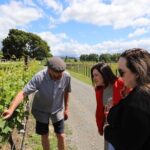 Private Wairarapa Wine Delights Tour from Wellington - What Makes This Tour Stand Out