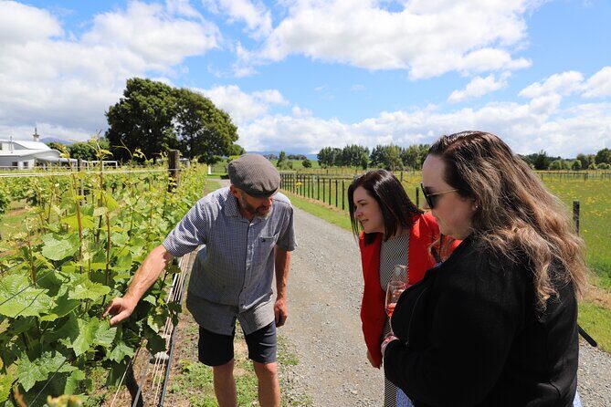 Private Wairarapa Wine Delights Tour from Wellington - What Makes This Tour Stand Out