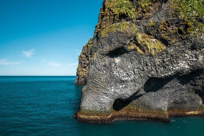 Puffin and Volcano Tour with Ebbi - The Puffin Experience: What You Really Need to Know