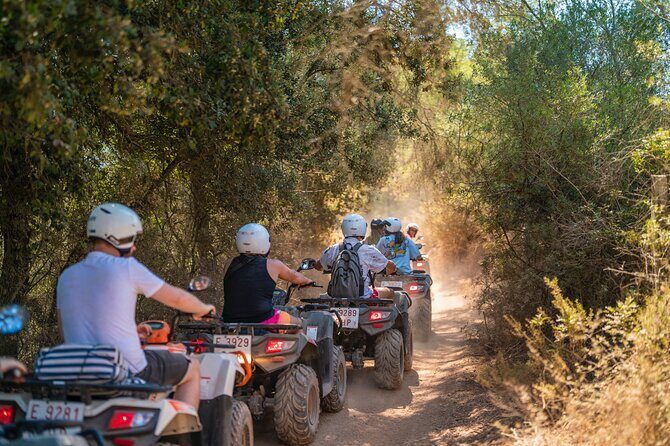 Quad Bike / ATV Tour - Price and Value: When $114.93 Makes Sense (And When It Might Not)