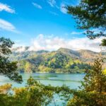 Queen Charlotte Track: Cruise & Self-Guided Hike from Picton - What Travelers Love