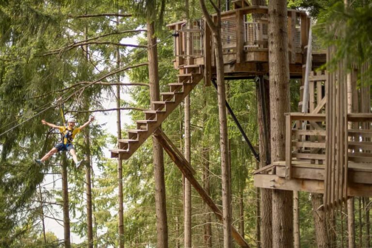 Queenstown: 3-Hour Zipline Adventure with 6-Lines - The Ziplining Itinerary: What to Expect