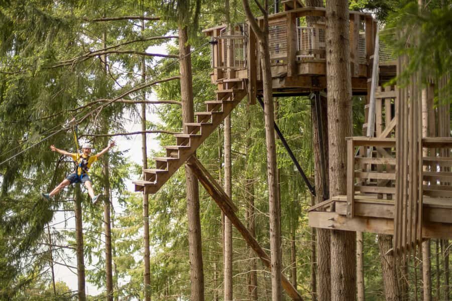 Queenstown: 3-Hour Zipline Adventure with 6-Lines - The Ziplining Itinerary: What to Expect