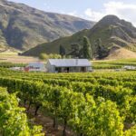 Queenstown, Arrowtown, Gibbston: Flexible Wine Hopper Tours - The Practical Side: Transportation, Cost, and Group Size