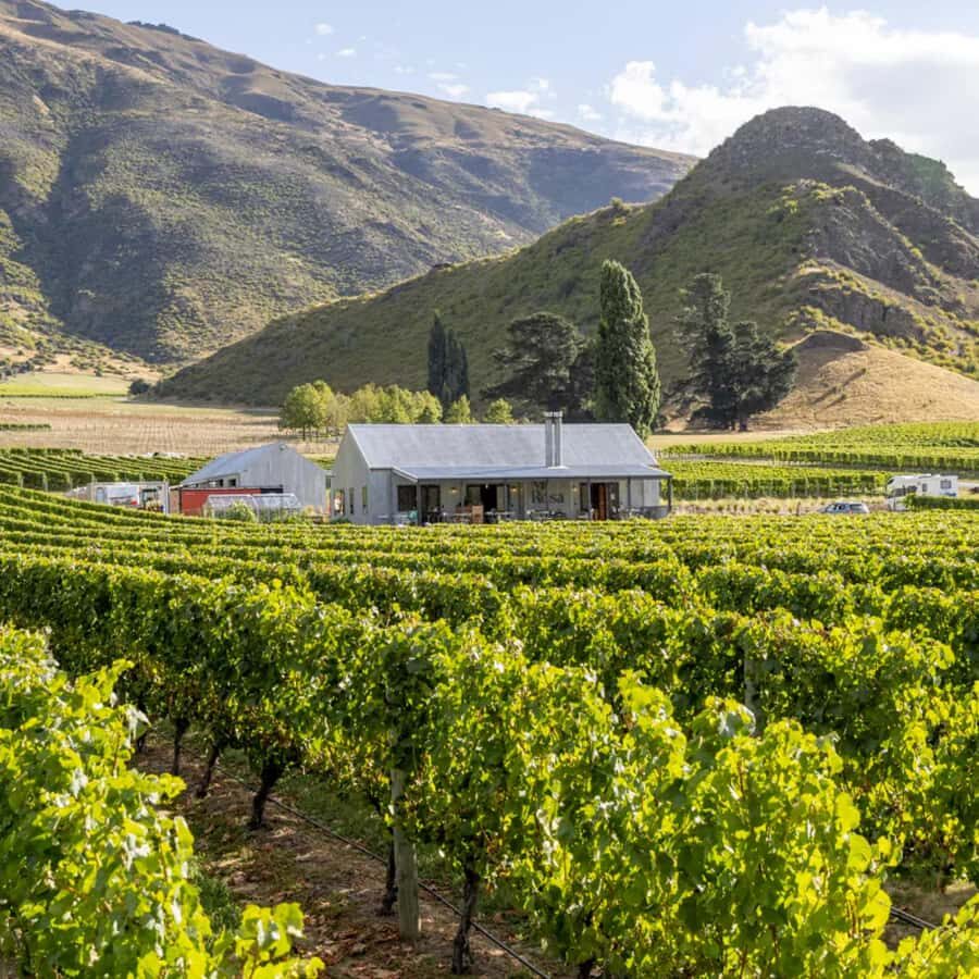 Queenstown, Arrowtown, Gibbston: Flexible Wine Hopper Tours - The Practical Side: Transportation, Cost, and Group Size