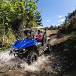 Queenstown Guided Self-Drive Buggy Tour - Authentic Insights from Reviews