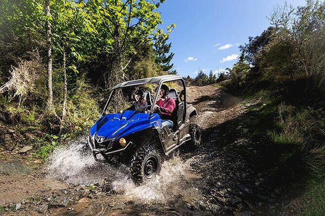 Queenstown Guided Self-Drive Buggy Tour - Authentic Insights from Reviews