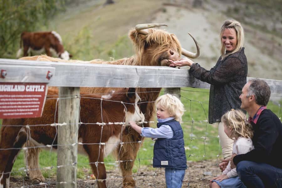 Queenstown: Queenstown Lake Cruise and Walter Peak Farm Tour - Who Should Do This Tour?