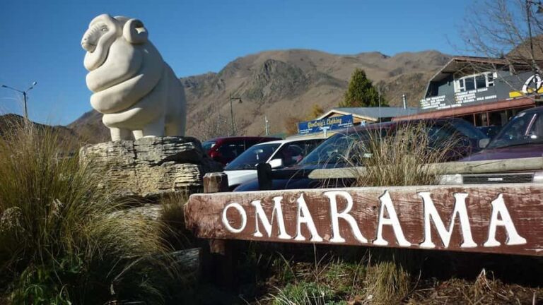 Queenstown to Christchurch via Mt Cook One-Way Tour - The Experience: What It’s Like on the Ground