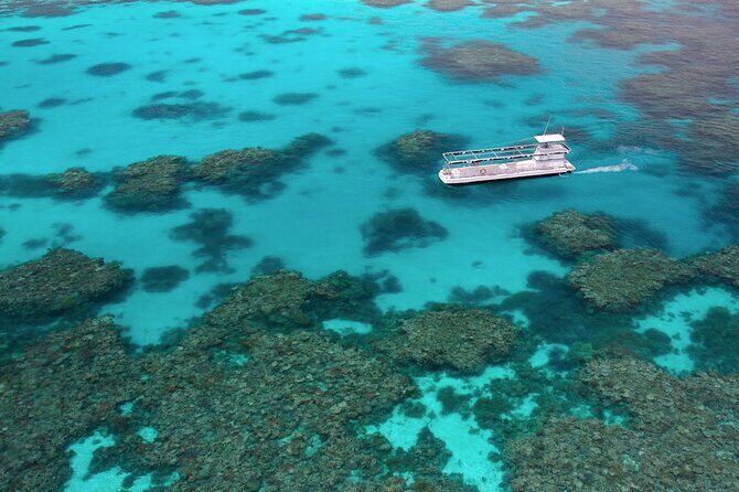 Quicksilver Outer Great Barrier Reef Snorkel Cruise from Palm Cove - The Food and Facilities