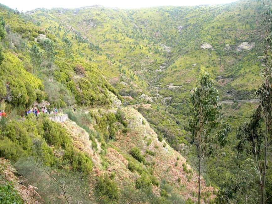 Rabaçal: 25 Fontes & Risco Levada Hiking Transfer - 8 hours door-to-door: how the transfer fits your day