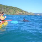 Rainbow Beach: Kayaking with Dolphins and Beach 4WD Tour - The Guide and Group Dynamics
