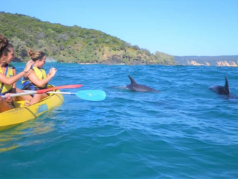 Rainbow Beach: Kayaking with Dolphins and Beach 4WD Tour - The Guide and Group Dynamics