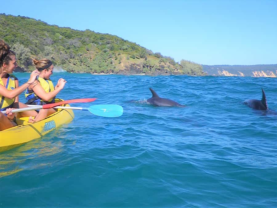 Rainbow Beach: Kayaking with Dolphins and Beach 4WD Tour - The Guide and Group Dynamics