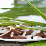 Rangiroa: Blue Lagoon Tiputa Pass Coral Garden Island Birds - Final Thoughts