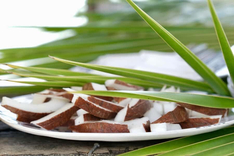Rangiroa: Blue Lagoon Tiputa Pass Coral Garden Island Birds - Final Thoughts