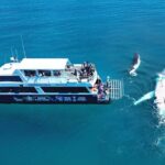 Remote K'gari (Fraser Island) & Whale Experience - Who Would Love This Tour?