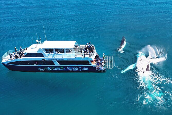 Remote K'gari (Fraser Island) & Whale Experience - Who Would Love This Tour?