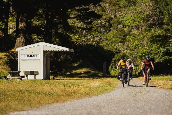 Remutaka Rail Trail Mountain Bike Explorer Cycle Tour - Who Will Love This Experience?