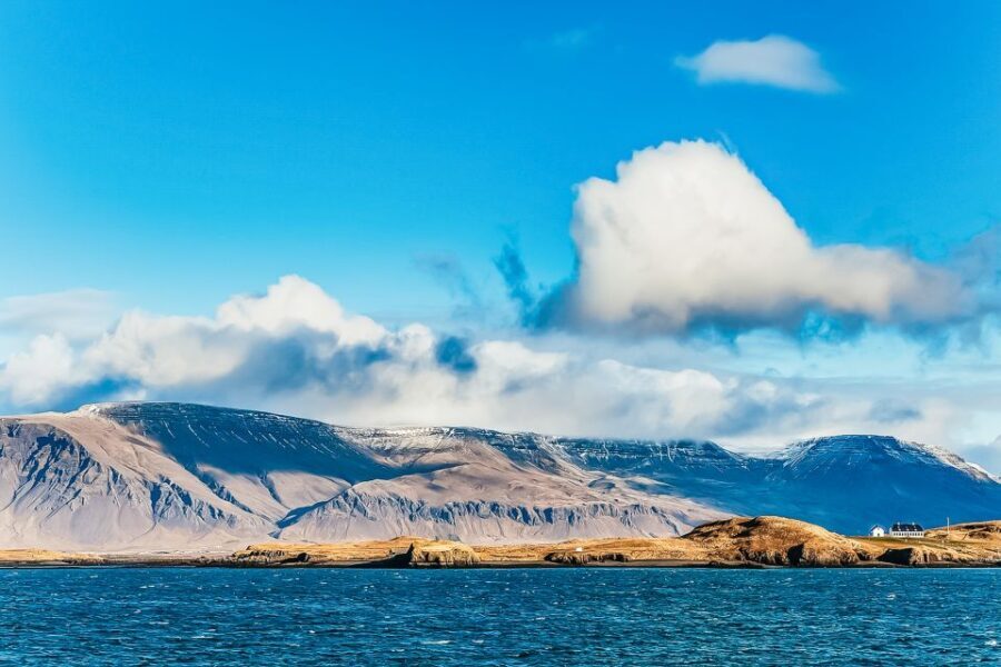 Reykjavík: Whale Watching and Marine Life Cruise - Price and Value: Is $87 Worth It?
