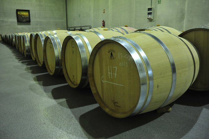 Ribera del Duero Wineries Guided Tour & Wine Tasting from Madrid - Price and What You’re Actually Paying For