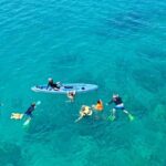 Ride & Slide by South Sea Cats - Half Day Snorkelling Trip - The Value of the Experience